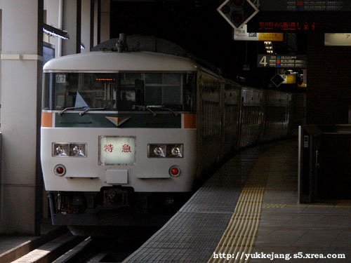 JR東日本185系- 「特急」表示の185系- 鐵路照片區> 鐵路照片區- My