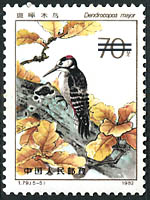 0.70 Yuan : 斑啄木鳥