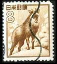 8 Yen : 羚羊