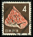 4 Yen : Perotrochus hirasei