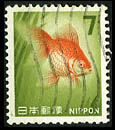 7 Yen : Kingyo(golden fish)
