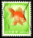 7 Yen : Kingyo(golden fish)