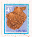 41 Yen : Perotrochus hirasei