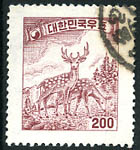 200 hw : 鹿