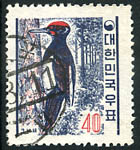 40 hw : Woodpecker