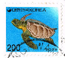 200 won : 海龜
